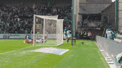 Celebration Hibs GIF by Hibernian FC