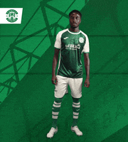 Celebration Goal GIF by Hibernian FC