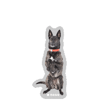 Noso Sticker by nosopatches
