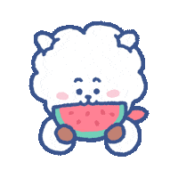 Watermelon Rj Sticker by BT21