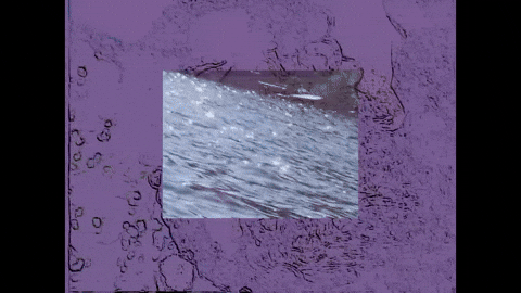 Low Tides GIF by Topshelf Records