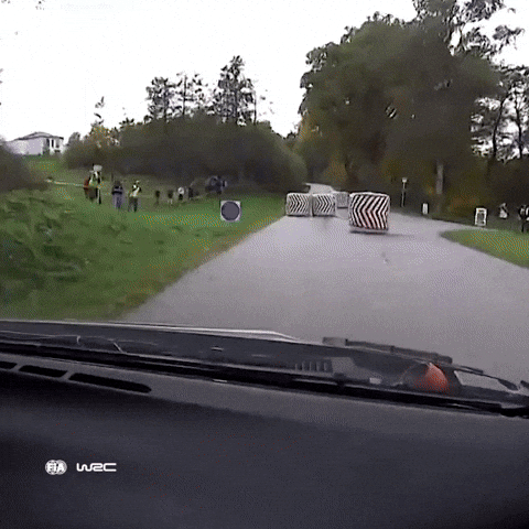 Racing Driving GIF by FIA World Rally Championship