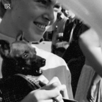 Black And White Dog GIF by Bayerischer Rundfunk