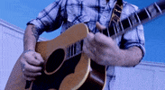 rock out chris shiflett GIF by SideOneDummy Records