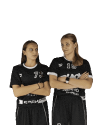 Floorball Ba Sticker by BLACK ANGELS