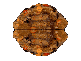 fatandweird cookie cookies team cookie fat and weird Sticker