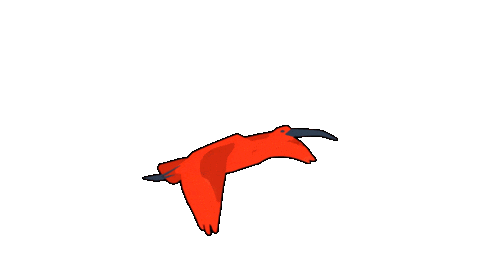 Bird Guaratuba Sticker by Guará Mapping Festival