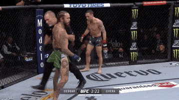 Marlon Vera Shrug GIF by UFC