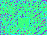 Home House GIF by Barbara Pozzi