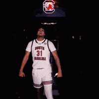 March Madness Celebration GIF by Gamecock Athletics