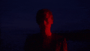 Lights Up GIF by Harry Styles
