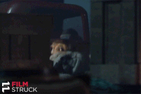 machine gun dogs GIF by FilmStruck