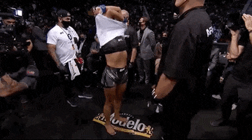 Cynthia Calvillo Sport GIF by UFC