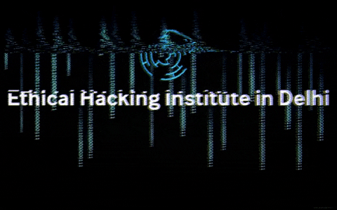 Ethicalhacker11 giphygifmaker giphyattribution ethicalhackinginstituteindelhi ethicalhackingcourseindelhi GIF
