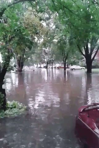 Detroit Resident Takes to Kayaking After Severe Floods