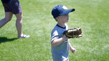 baseball catch GIF by Kane County Cougars