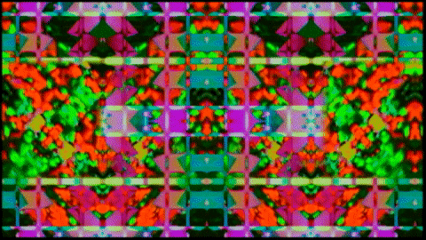 Video Art GIF by cskonopka