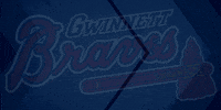 play ball GIF by Gwinnett Braves