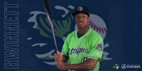 double a acuna jr. GIF by Gwinnett Stripers