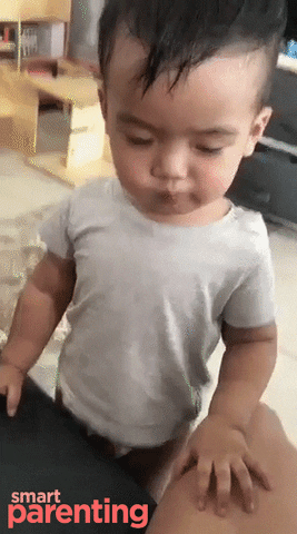 anagonzalesb2ff giphyupload GIF