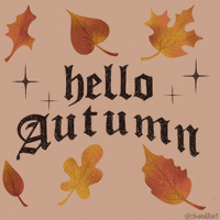 Falling Leaves Fall GIF by chiara
