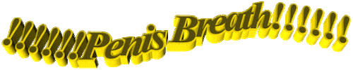 Words Phrase Sticker by AnimatedText