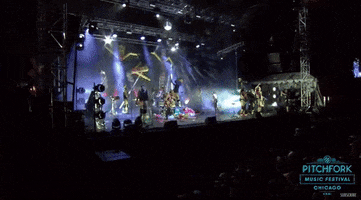pitchfork music festival GIF by Pitchfork