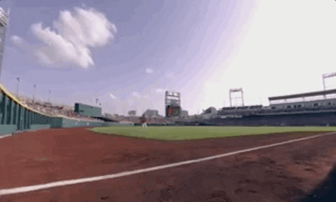 Ole Miss Baseball GIF by NCAA Championships
