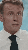 Macron GIF by systaime