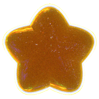 Shining Gold Star Sticker