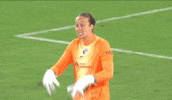 Kailen Sheridan Goalkeeper GIF by National Women's Soccer League