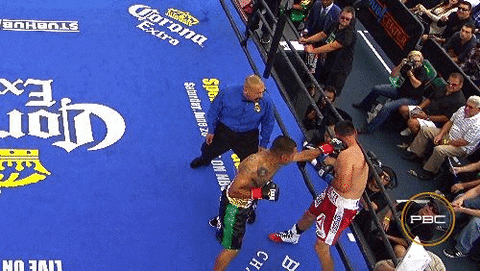 GIF by Premier Boxing Champions