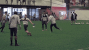 GIF by Philadelphia Union
