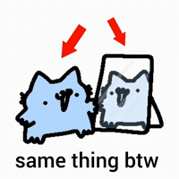 Spainnubcat GIF