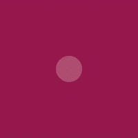 sweatndance koln snd sweatndance sweatndancelady GIF
