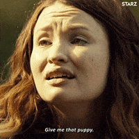 americangods reaction dog season 2 puppy GIF