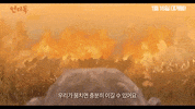 The Underdog GIF