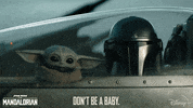 Pedro Pascal Baby GIF by Disney+
