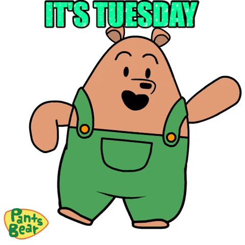 Party Tuesday GIF