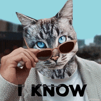 Sorry Good Morning GIF by PEEKASSO