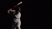 University Of Louisville Baseball GIF by Louisville Cardinals