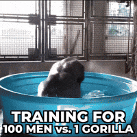 Gorilla Man Training GIF
