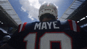 Football Nfl GIF by New England Patriots