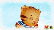Daniel Tigers Neighborhood Summer GIF by PBS KIDS