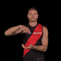 Peter Wright GIF by Essendon FC