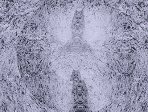 GIF by A.M.T.G. G.G.