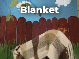 Blanket