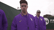 Baton Rouge Baseball GIF by LSU Tigers