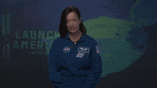 Astronauts Crew2 GIF by NASA