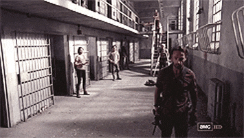 the walking dead this ep was good GIF